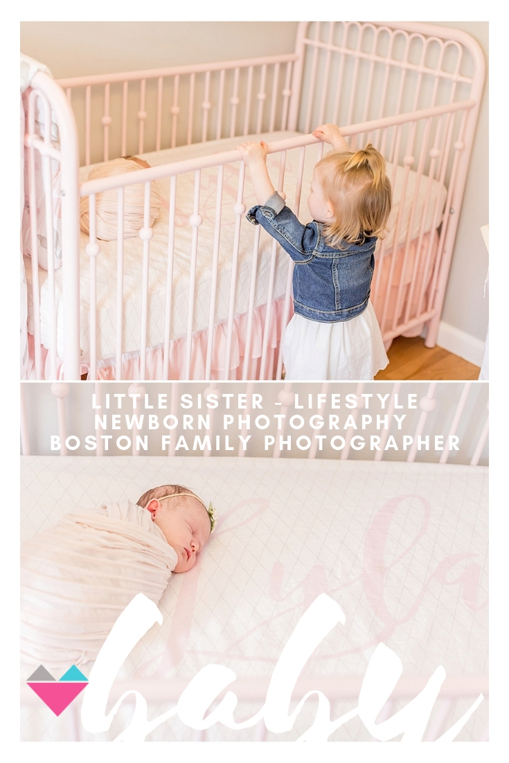 spring baby newborn photographer boston ma