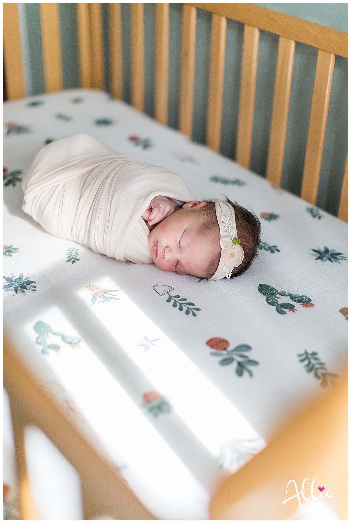 boston newborn photographer nursery photos