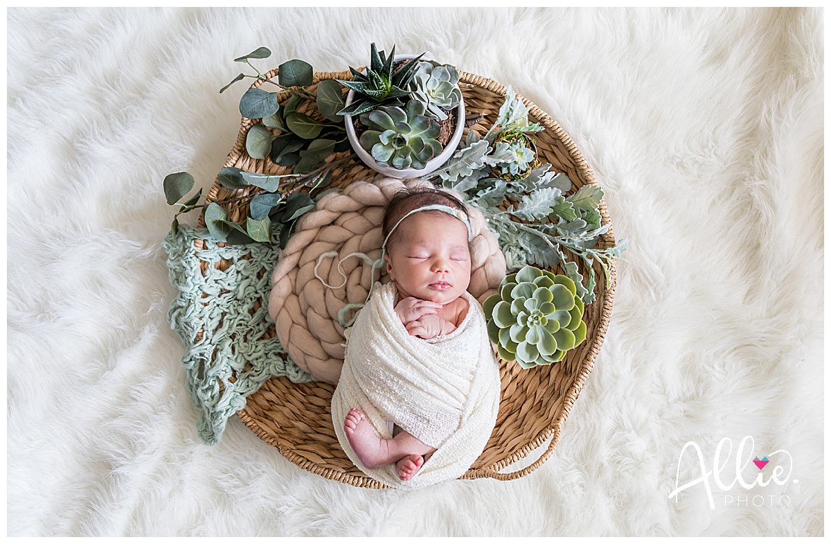 succulent photos with baby