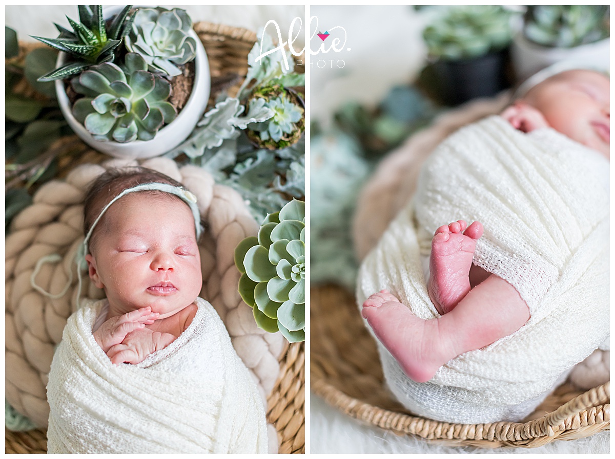 baby with succulents newborn session