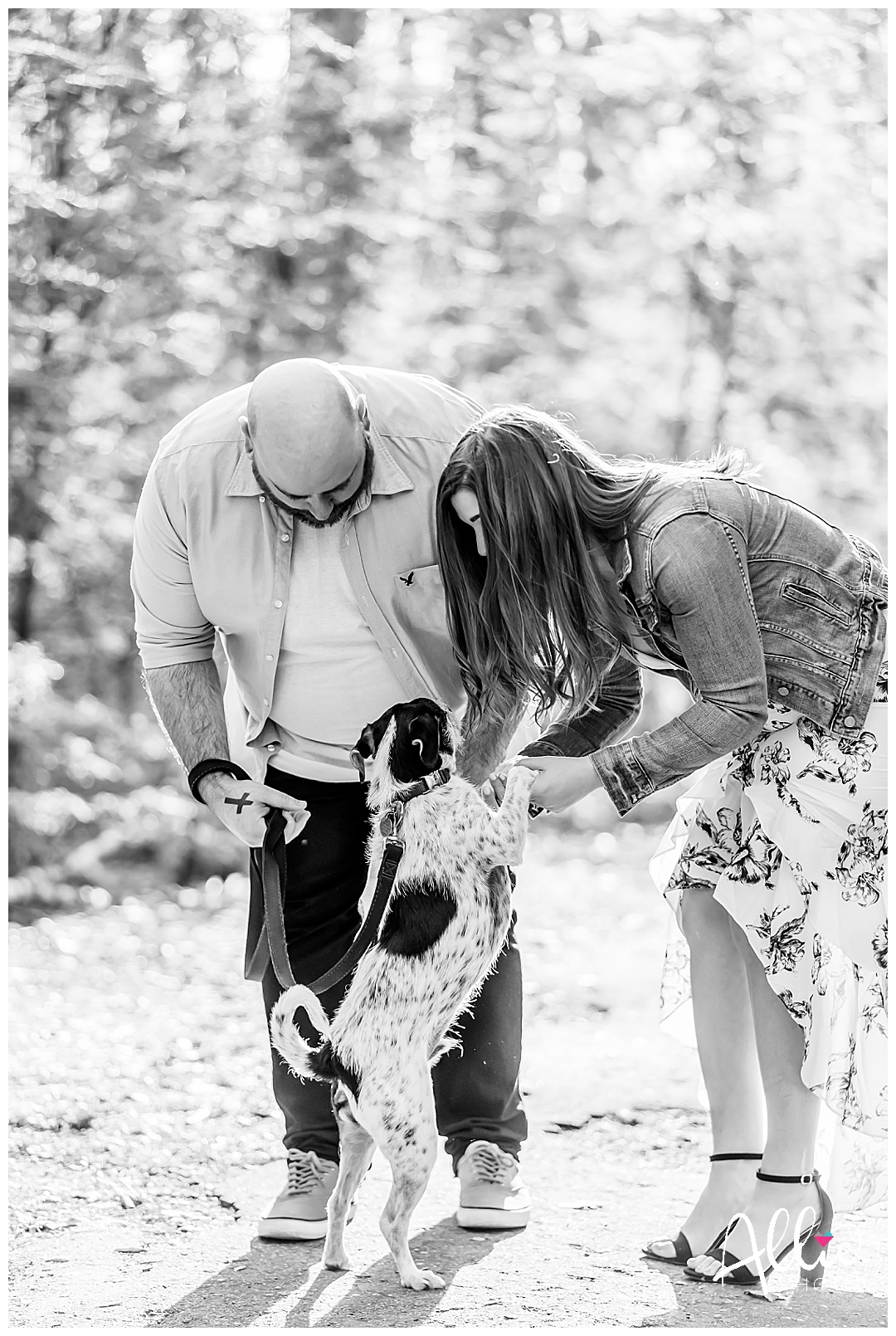 engagement photos with dog New Hampshire