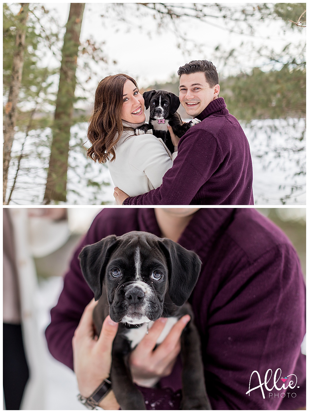 engagement photos with boxer puppy