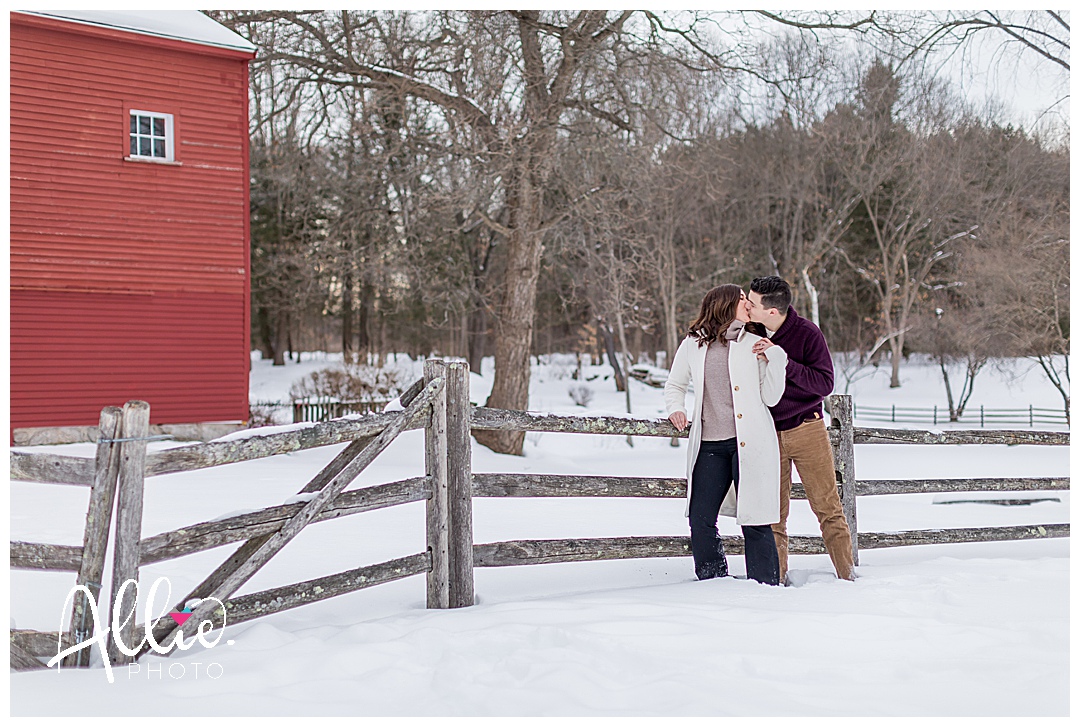 engagement photos at red wing conservation chelmsford ma
