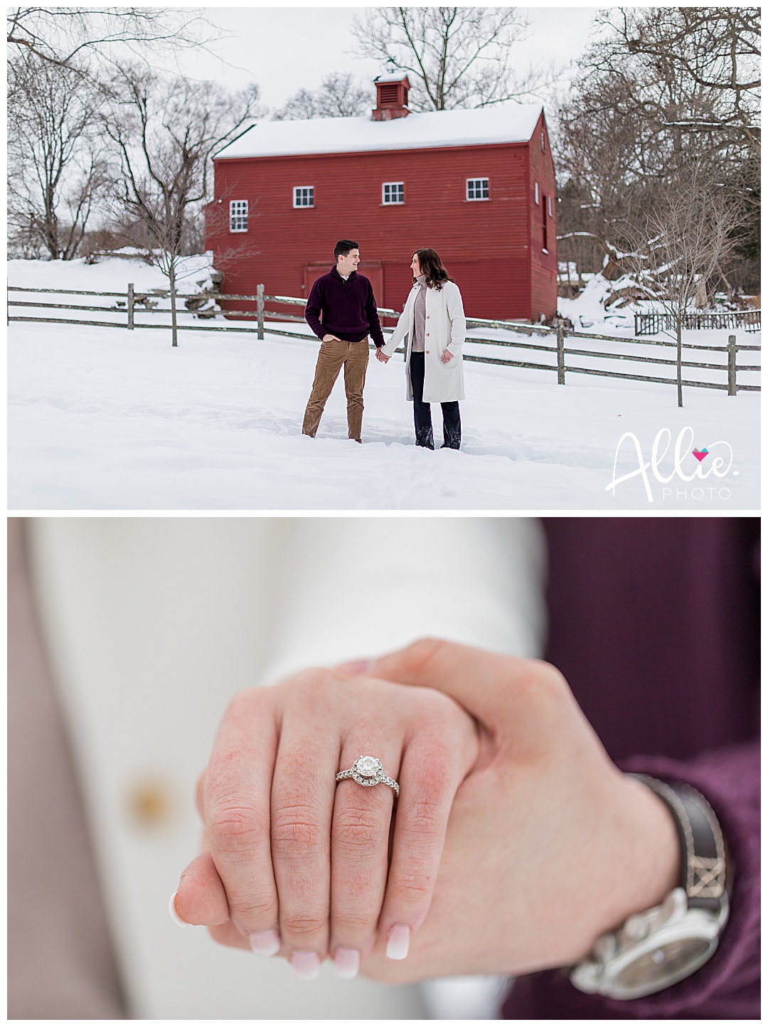 engagement photos at red wing conservation chelmsford ma