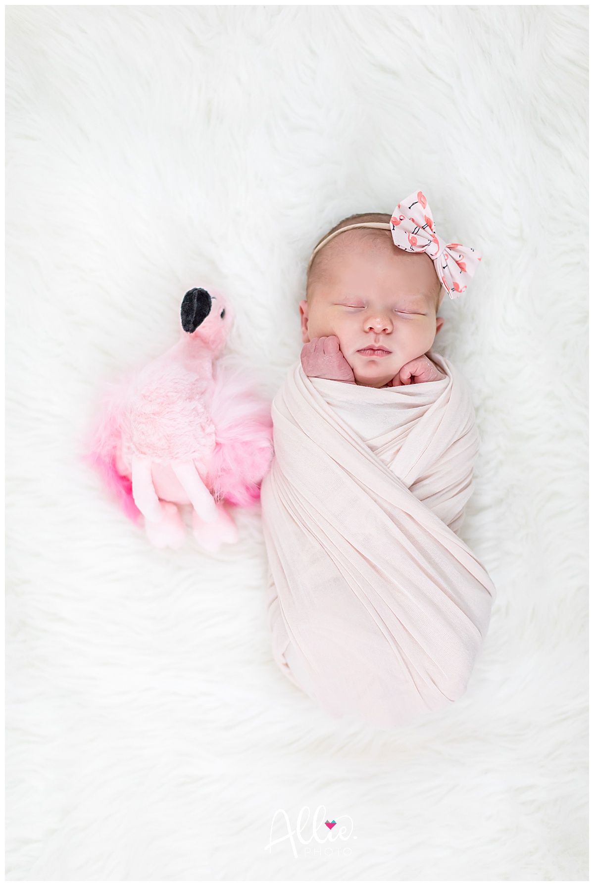 baby girl with flamingo newborn session chelmsford ma