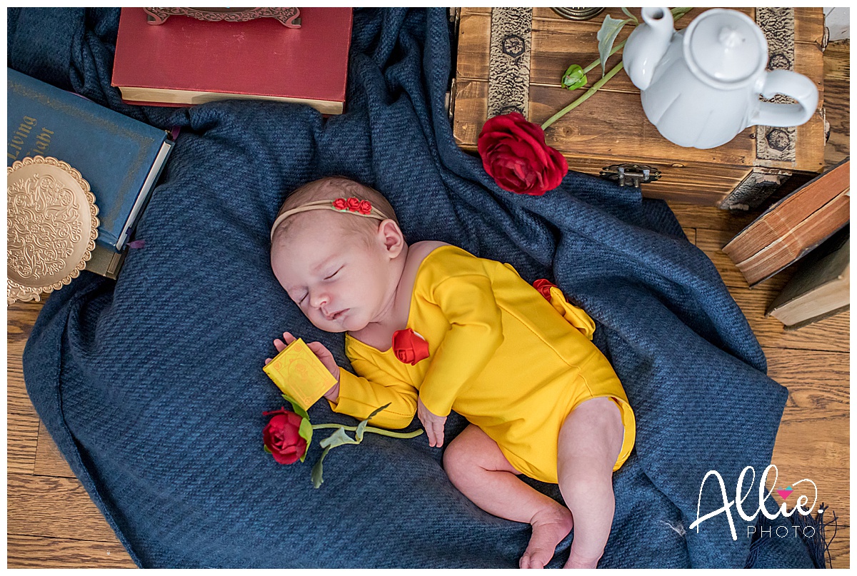 Beauty and the Beast newborn photos props