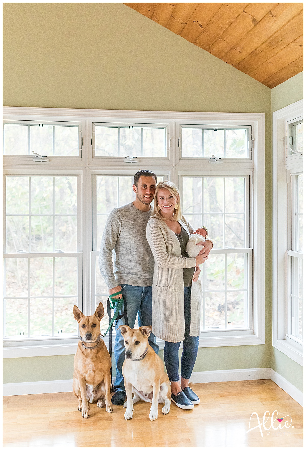 nh family photographer with dogs