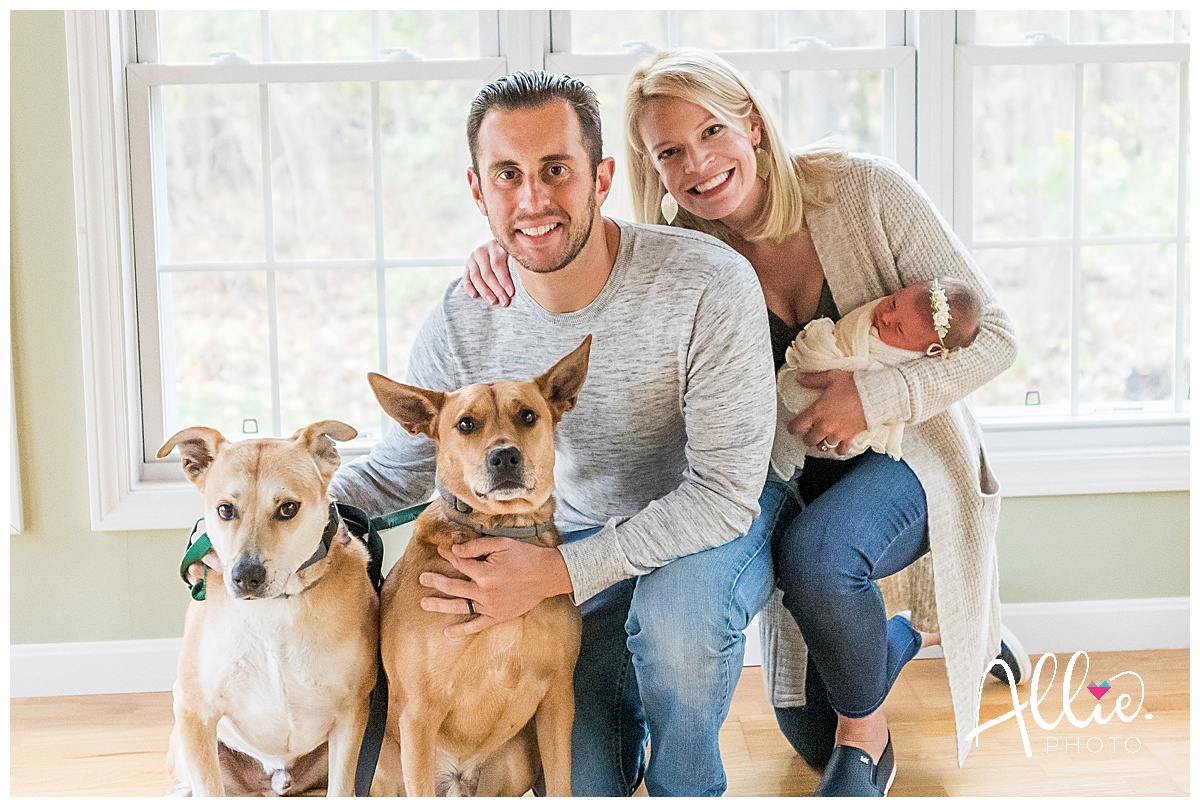 nh family photographer with dogs
