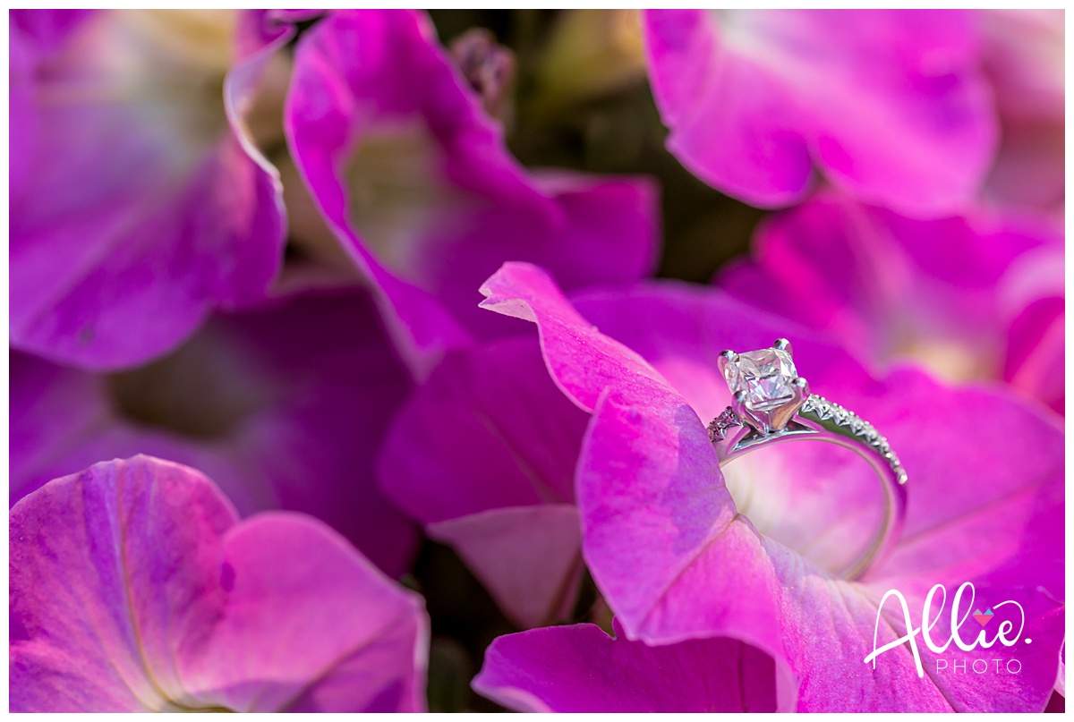 boston engagement session photographer diamond rings_0014.jpg