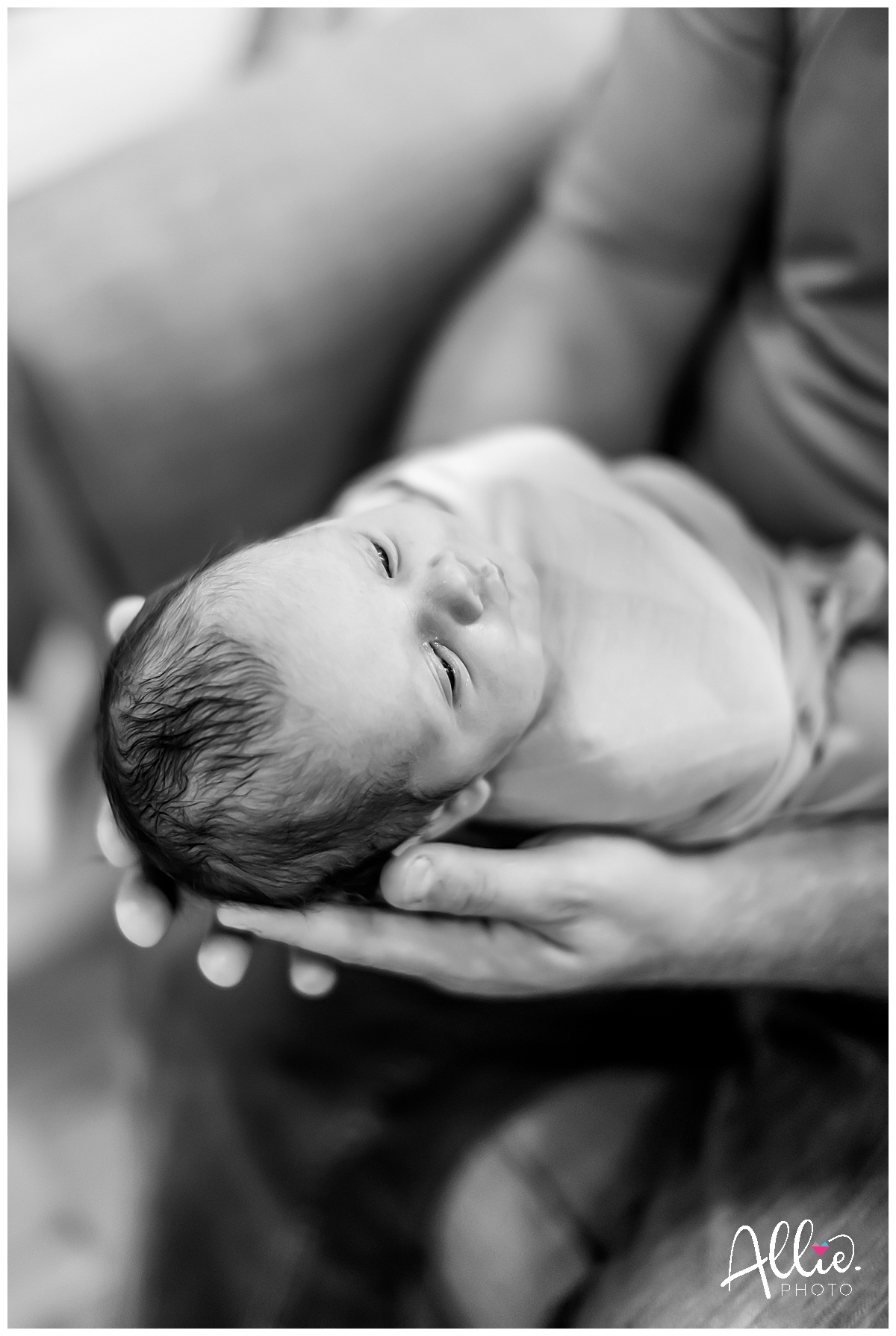 boston area family photographer,