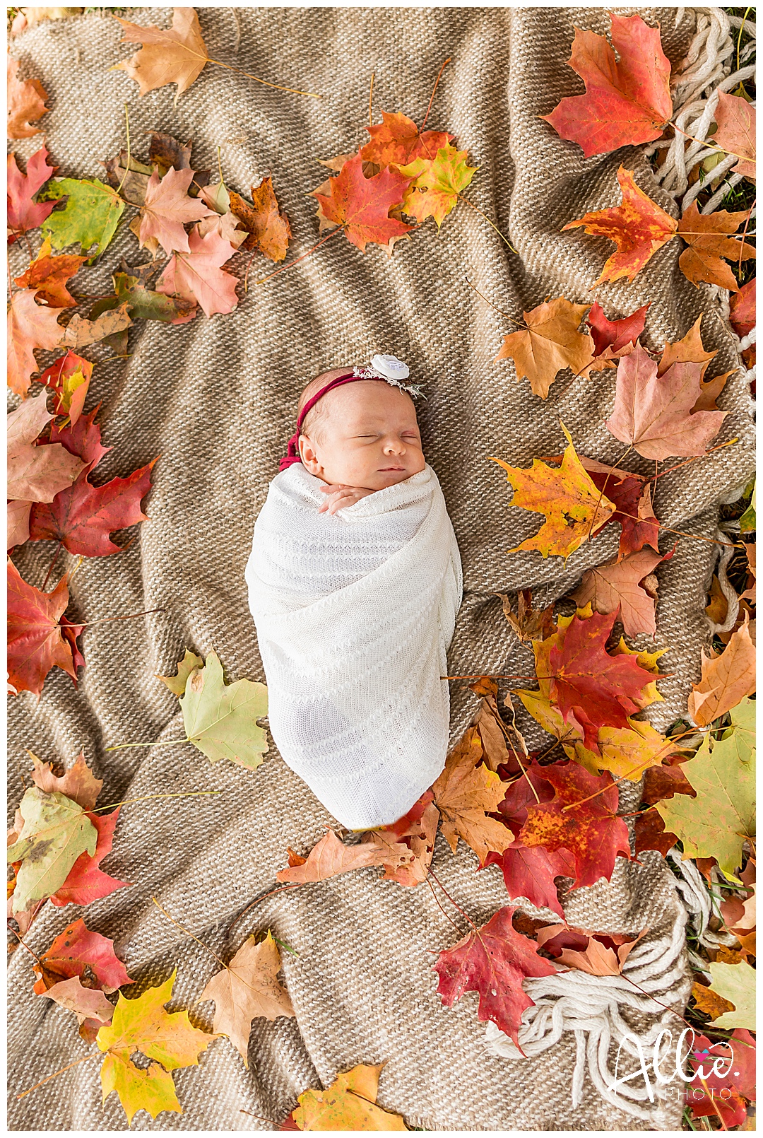 baby girl newborn outdoor leaves fall photos