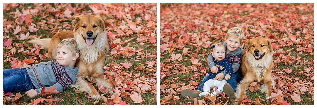 bedford nh family photos,bedford village commons,fall family photos,new england fall photos,southern new hampshire family photographer,