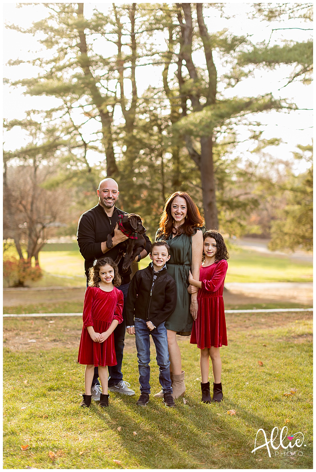christmas photos with dog and kids