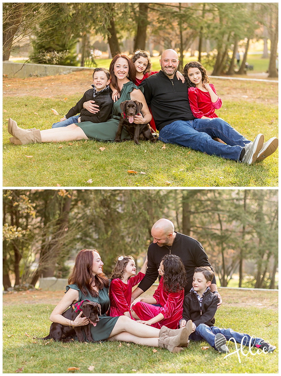 christmas family portrait session NH photographer
