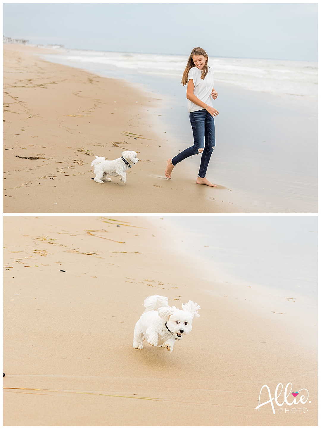 beach photos with dog 