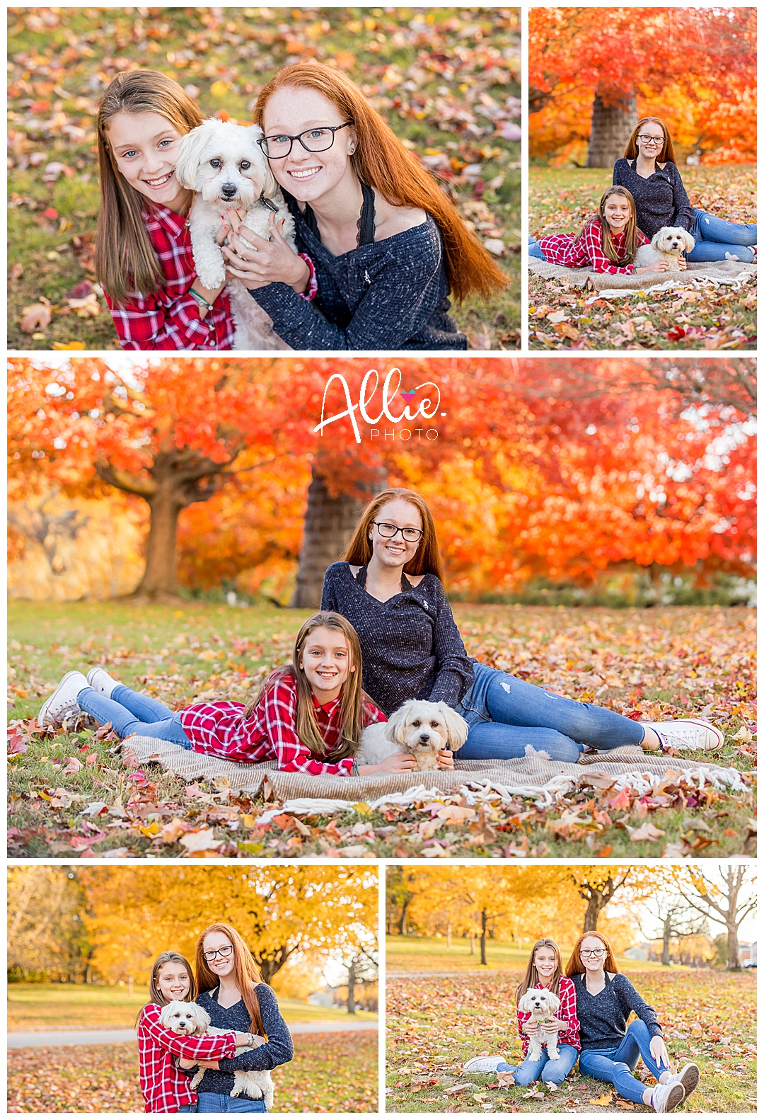 Massachusetts family photographer dog and teen girls