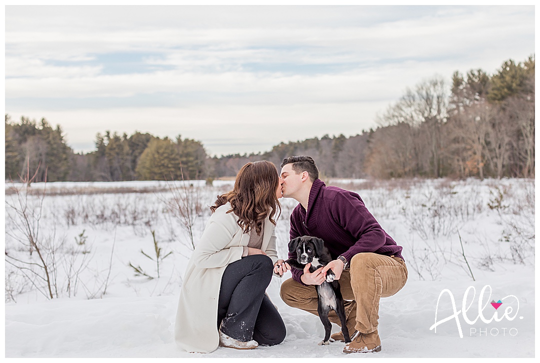 winter engagement photos chelmsford ma with puppy