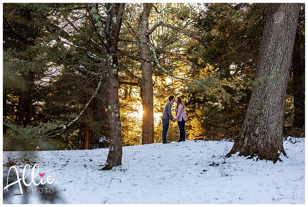Winter Engagement Photos at Arnold Arboretum