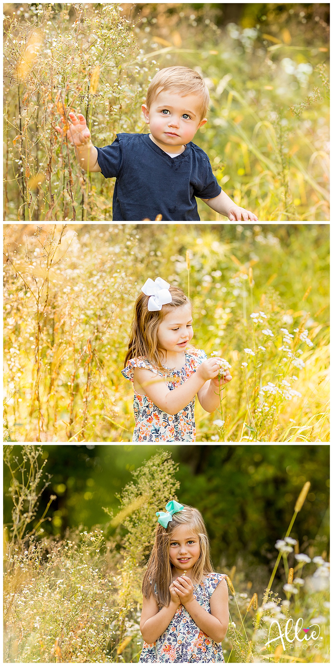 summer family photos in field groton ma