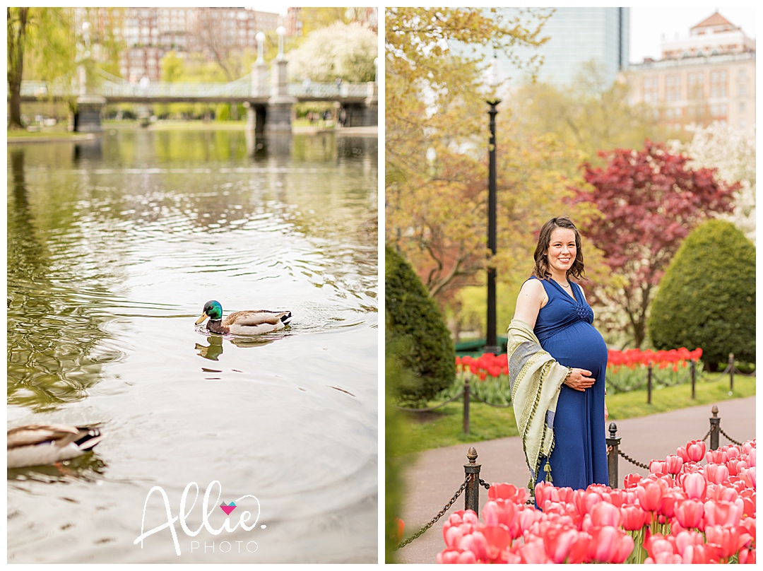 pregnancy photos and setting of boston
