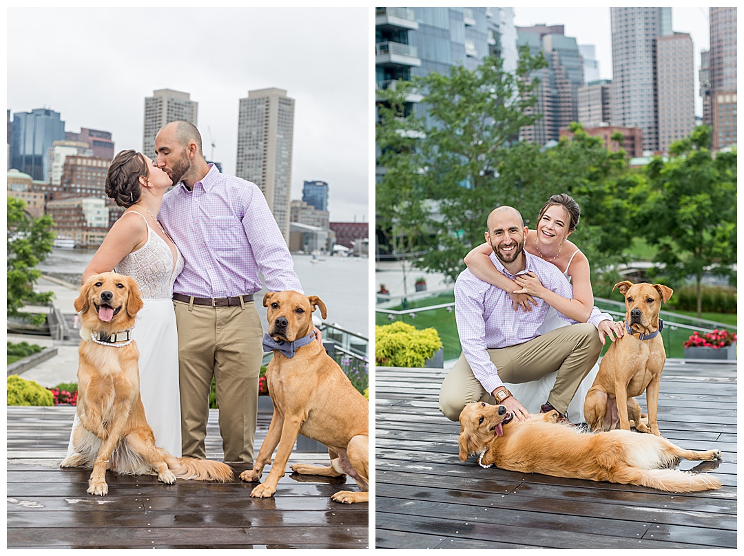 couple with dogs at elopement