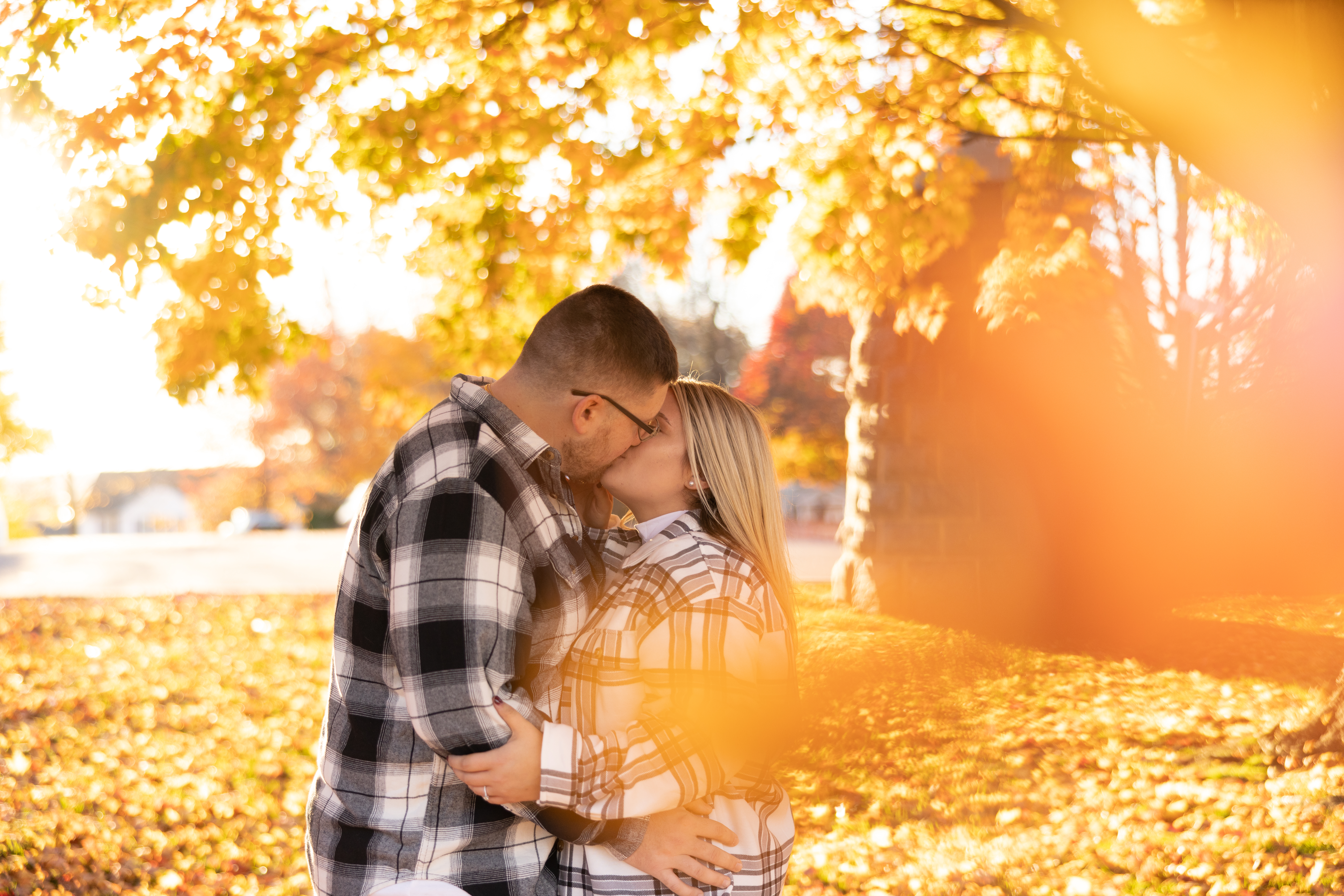 boston area fall engagement photos with golden leaves