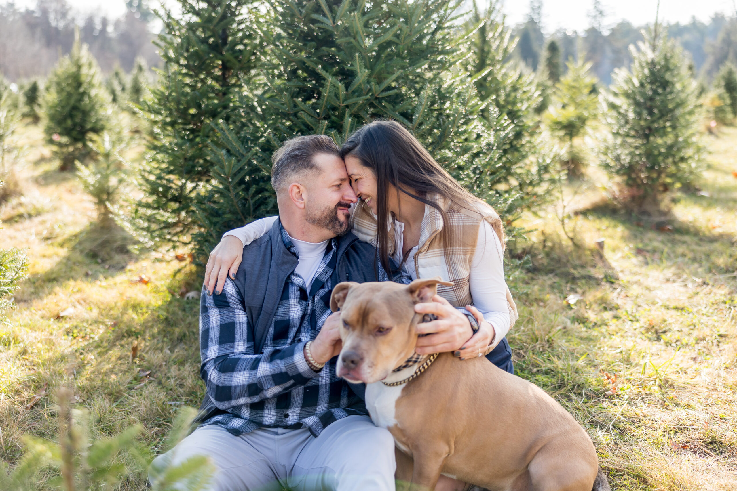 surprise proposal photography engagement at tree farm